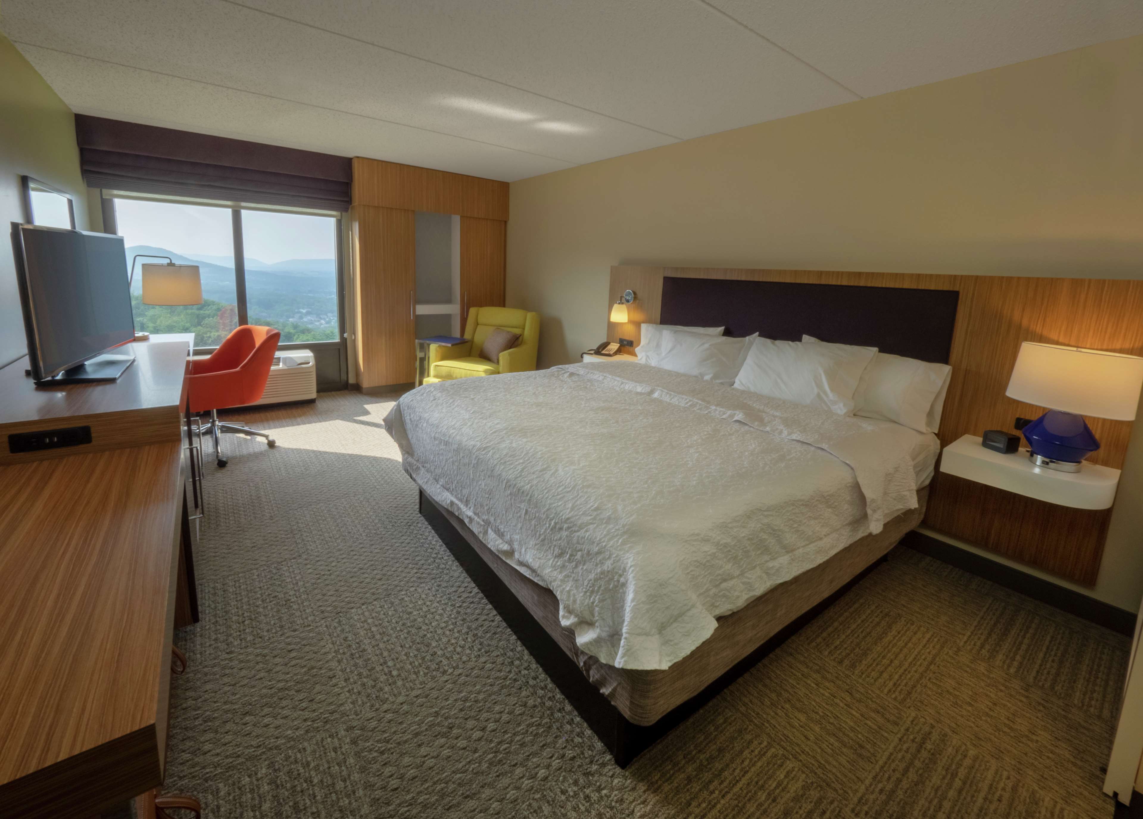 Hampton Inn by Hilton Hazleton Room Type - 1 KING BED VALLEY NS