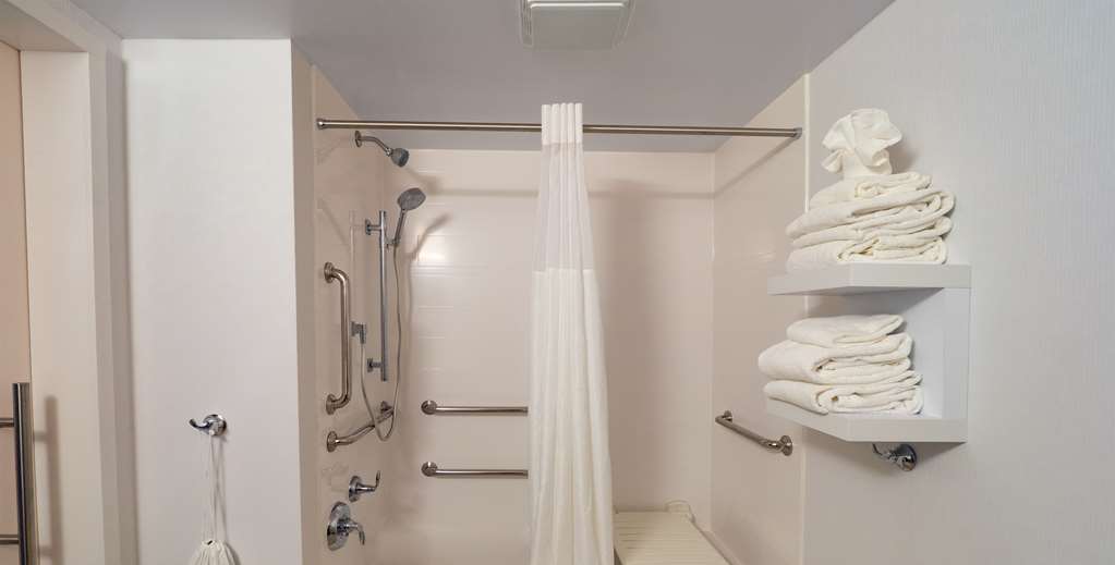Hampton Inn by Hilton Hazleton Room Type - 1 KNG ACC ROLLIN SHWR NS