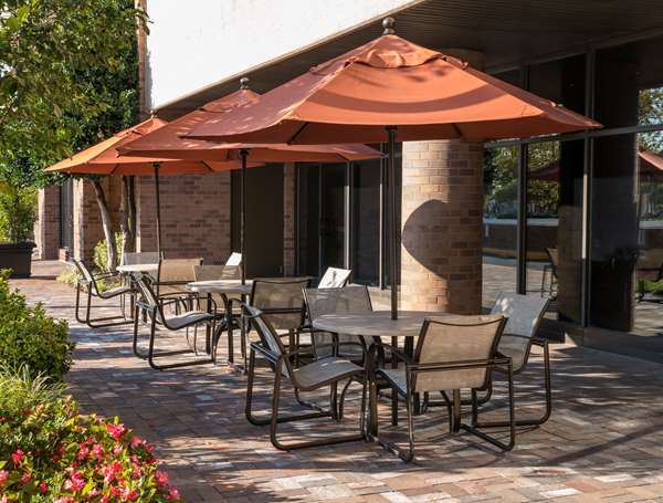 Restaurant - Hilton Hotel Rockville