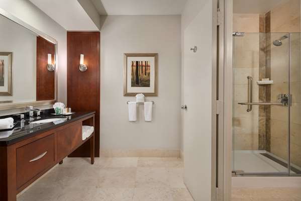  - Hilton Hotel Post Oak Houston