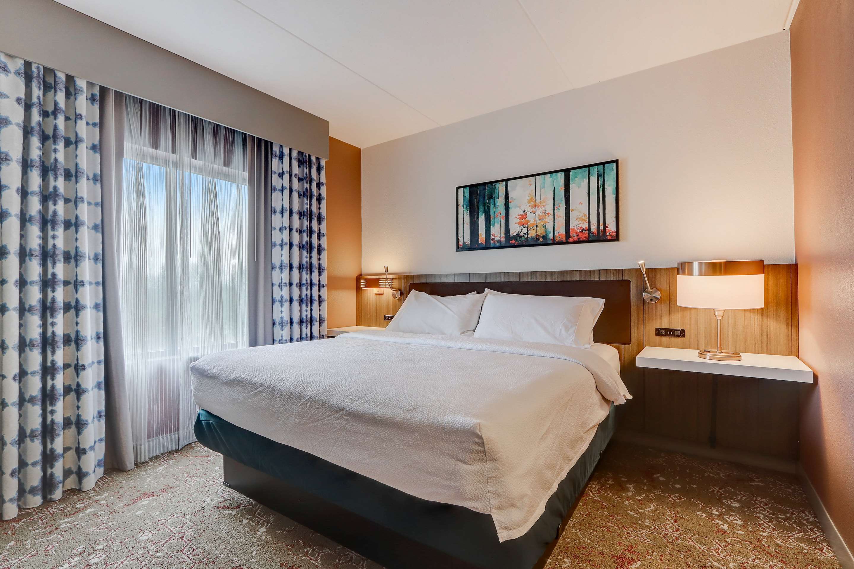 1 King Bed