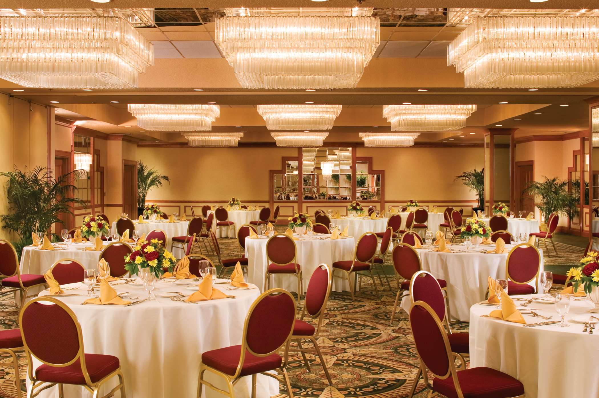 Meeting Room | Embassy Suites Hotel Winston-Salem