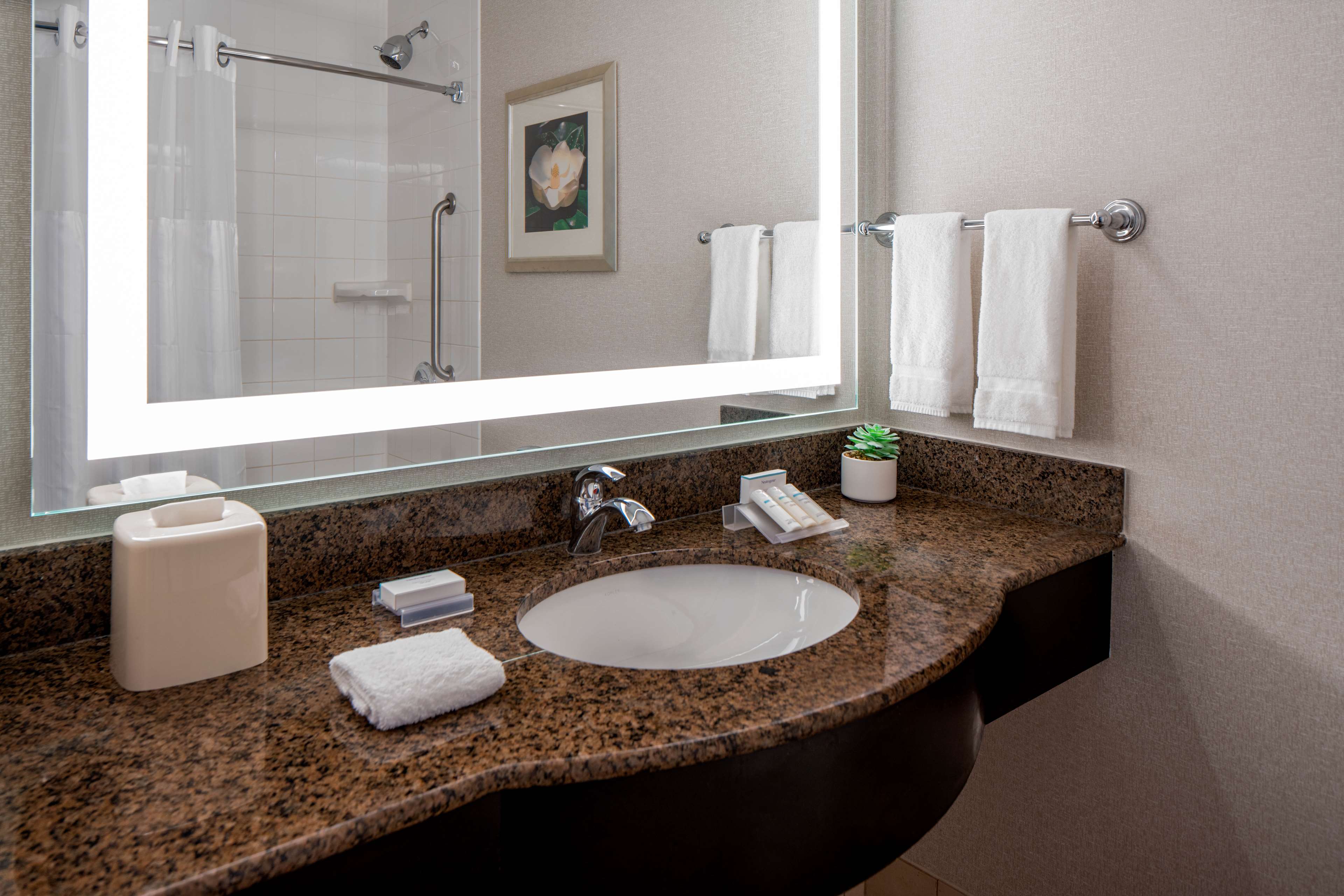 Hilton Garden Inn Jackson Downtown Room Type - 2 QUEEN BEDS