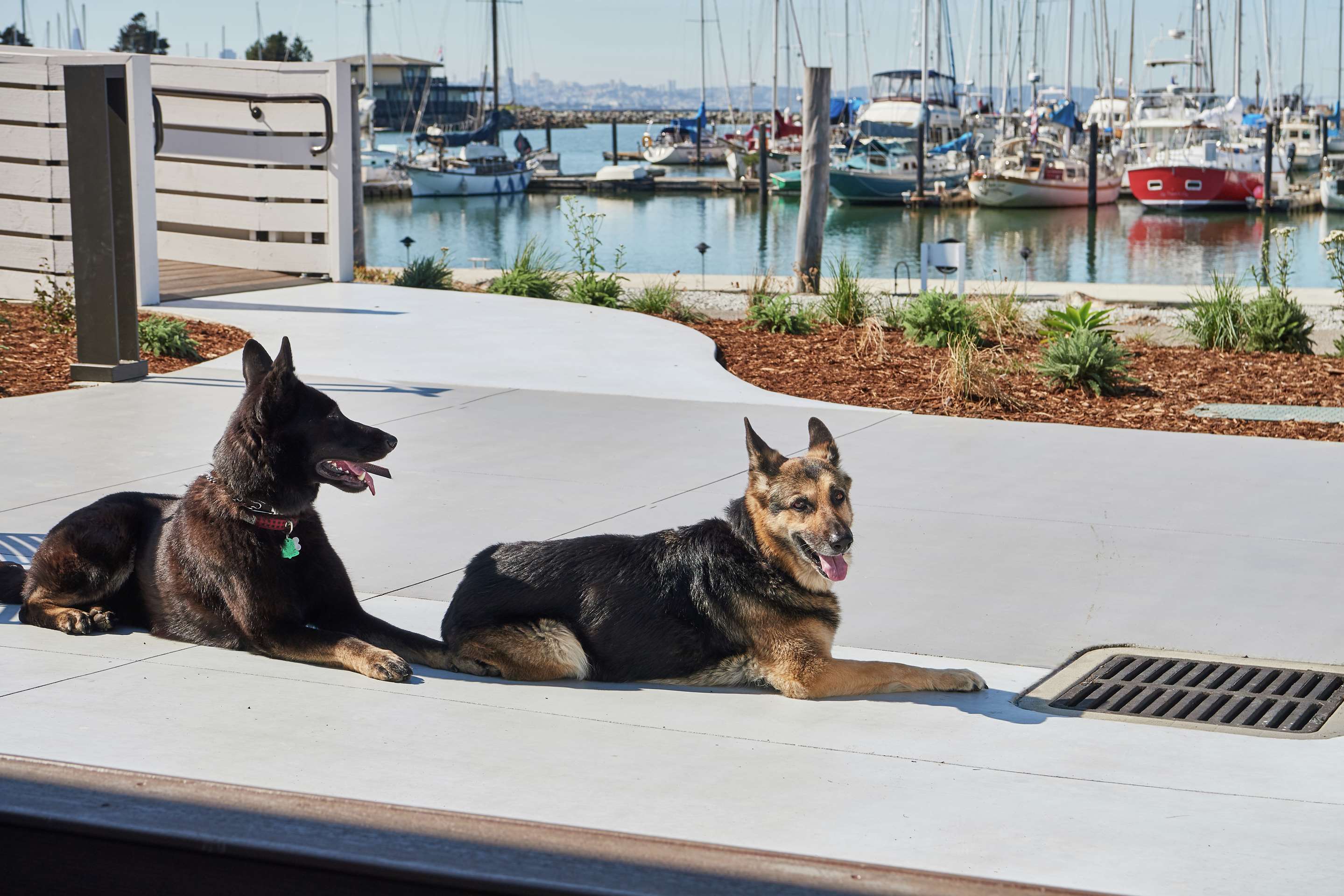 Exterior | DoubleTree by Hilton Hotel Berkeley Marina
