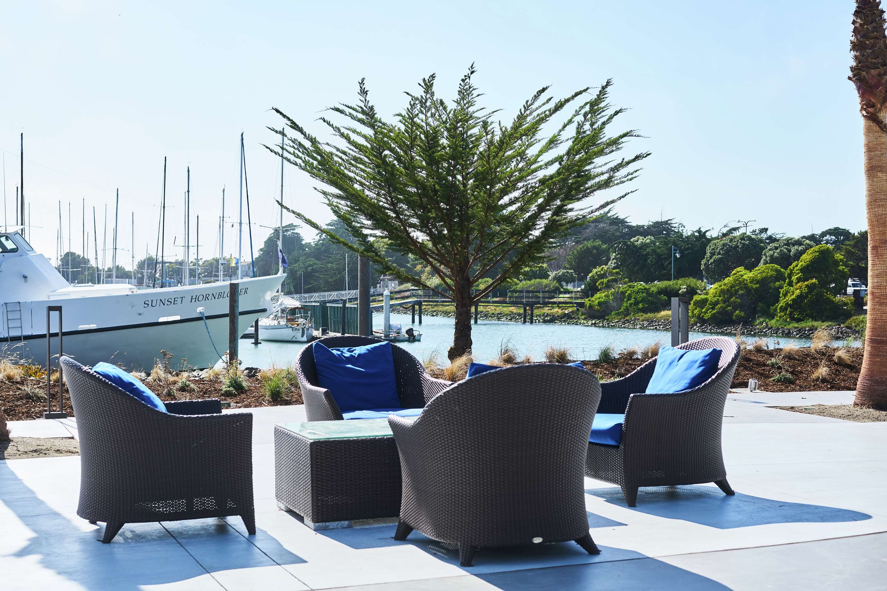 Recreational Facility | DoubleTree by Hilton Hotel Berkeley Marina