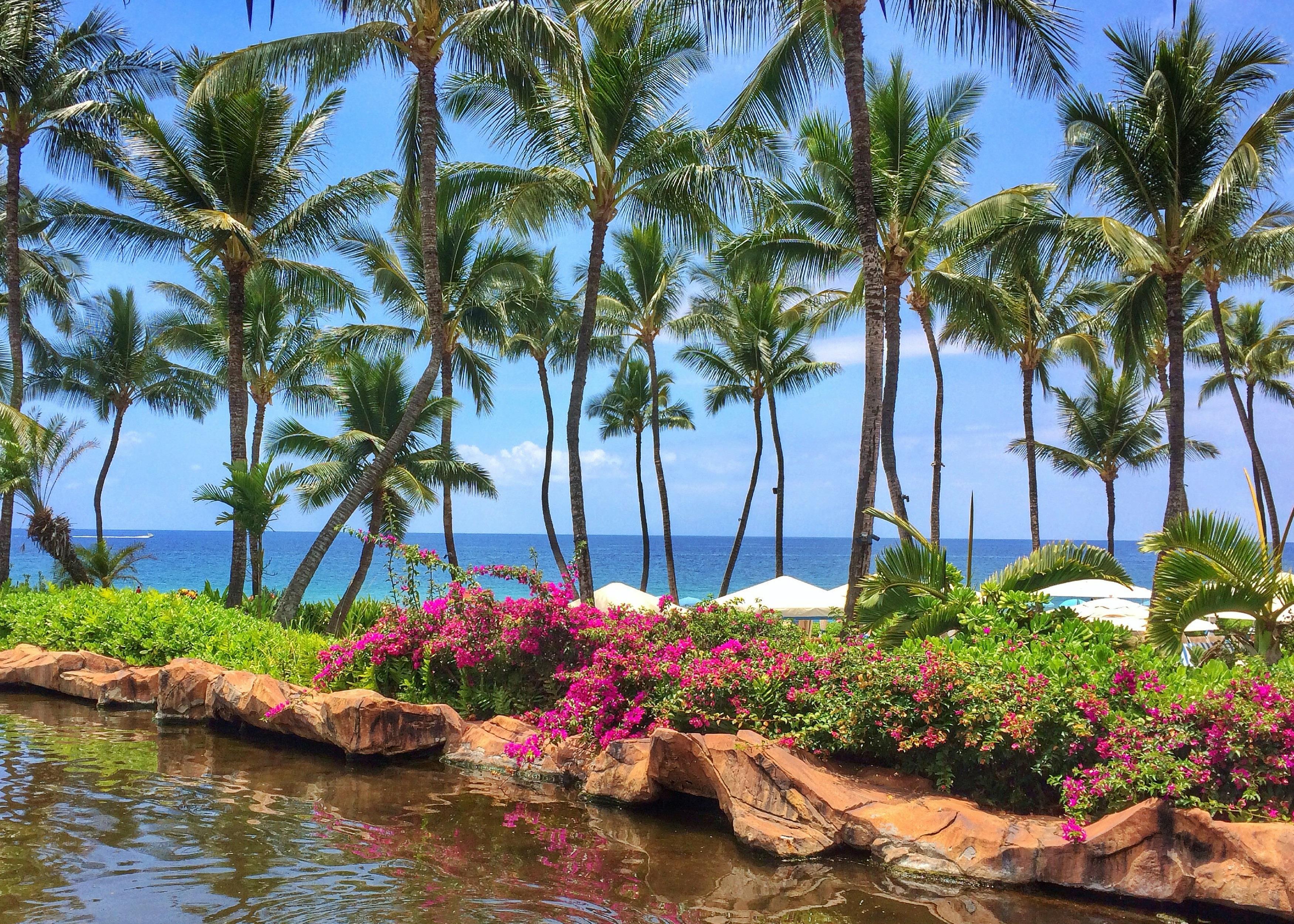 Exterior | Grand Wailea Maui, A Waldorf Astoria Resort