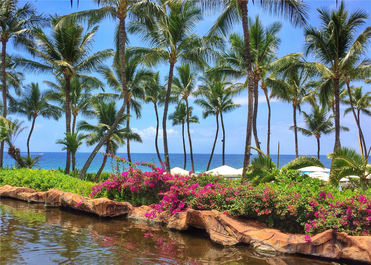GRAND WAILEA A WALDORF ASTORIA - Photo 15