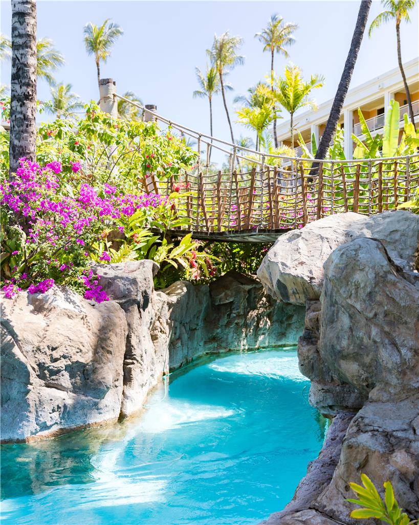 GRAND WAILEA A WALDORF ASTORIA - Photo 28