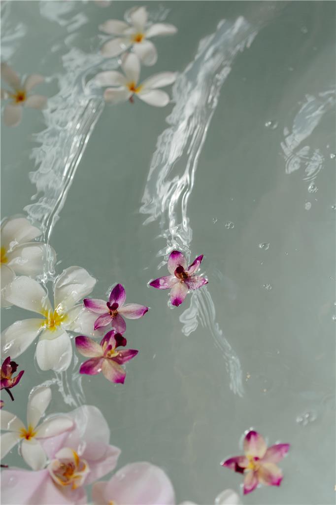 GRAND WAILEA A WALDORF ASTORIA