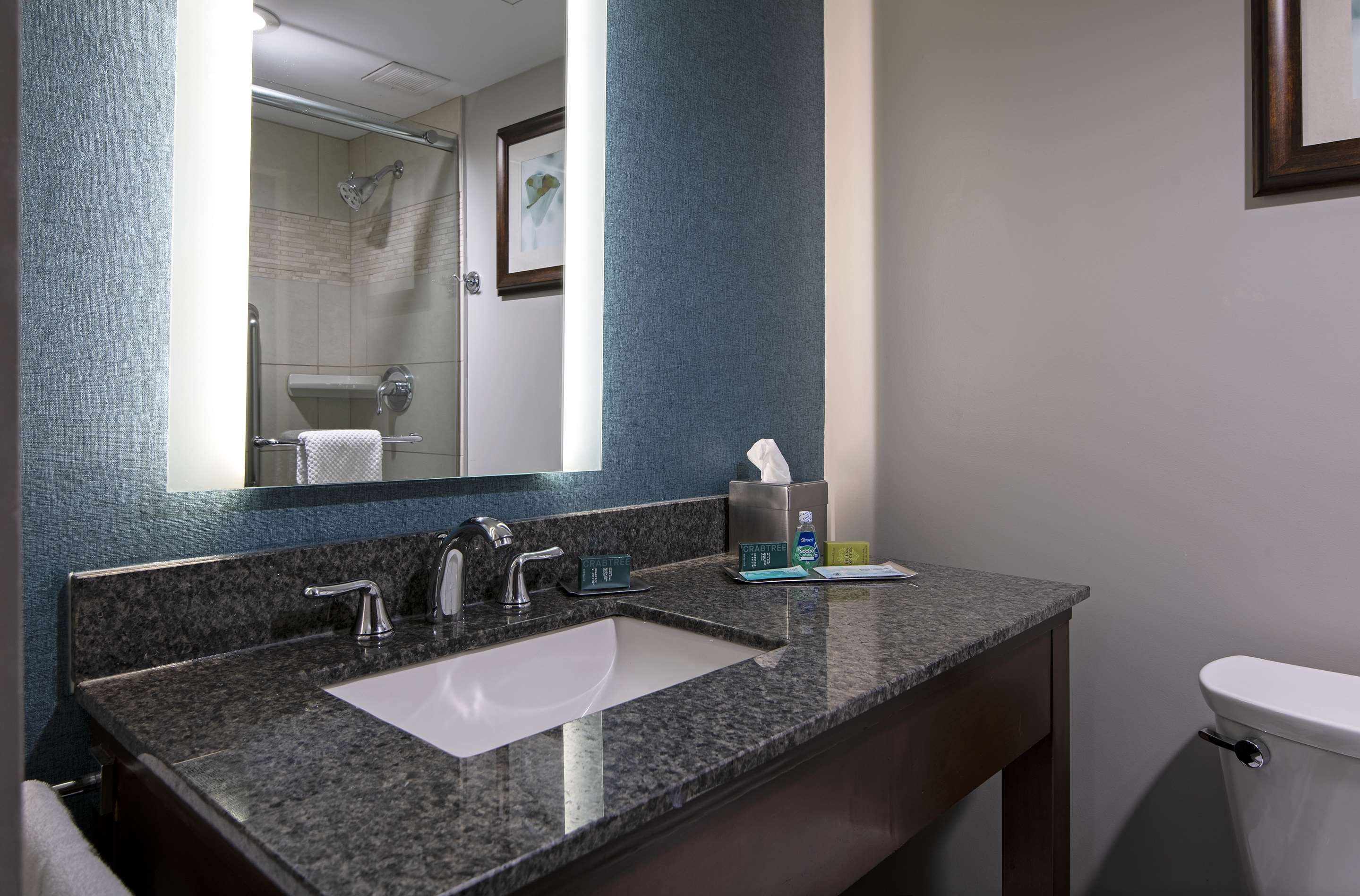 Guest room bath