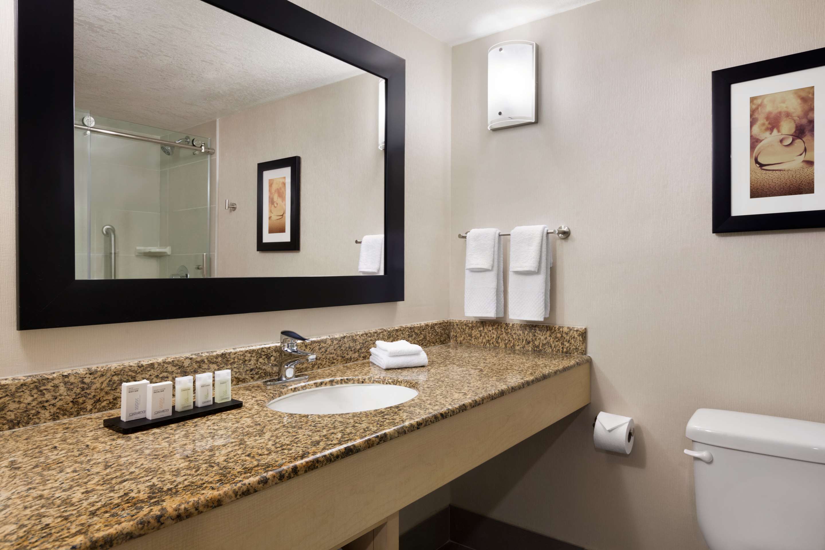 Guest room bath