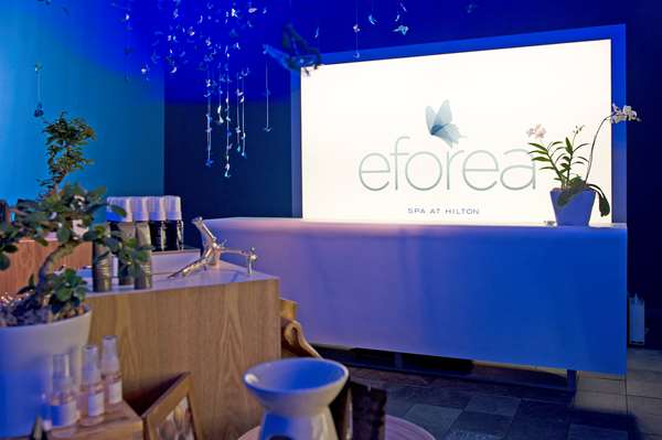 Recreation - Hilton Grand Vacations Hotel on the Las Vegas Strip - I-15, Exit 40