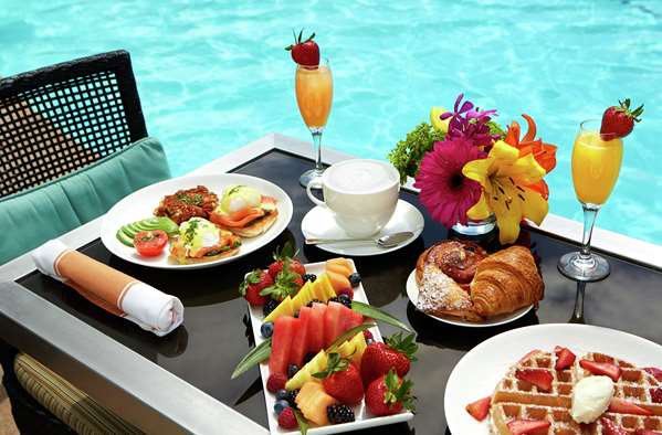 Pool - Beverly Hilton Hotel Beverly Hills