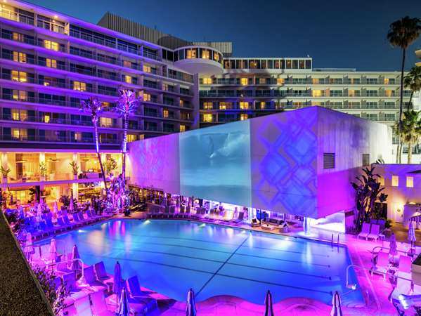 Pool - Beverly Hilton Hotel Beverly Hills