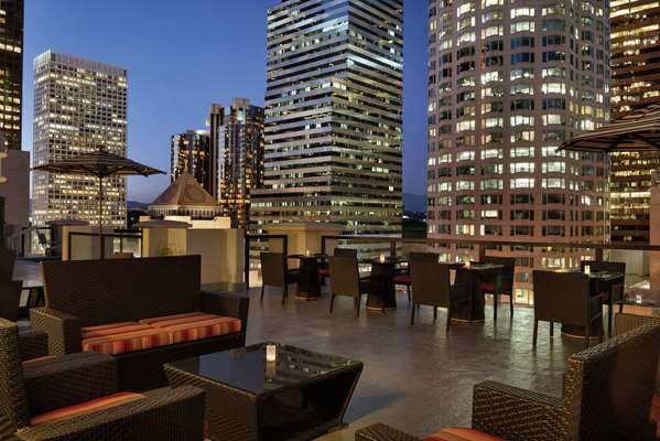 Bar - Hilton Checkers Hotel Los Angeles