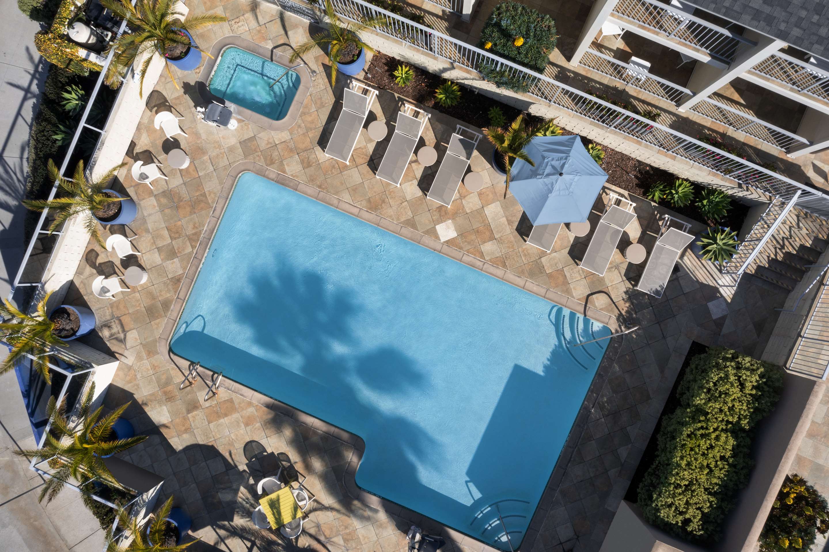 Pool | Hilton Garden Inn Marina Del Rey
