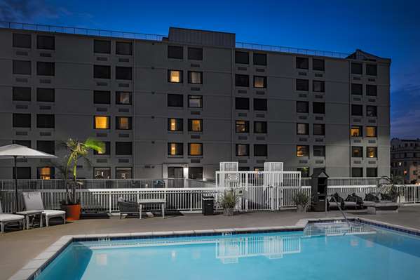 Pool - Hilton Garden Inn Hollywood