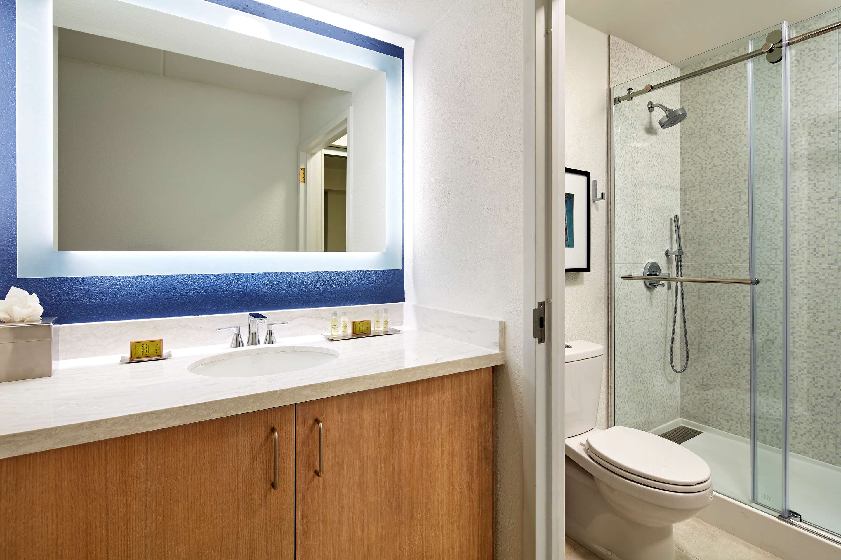 Guest room bath