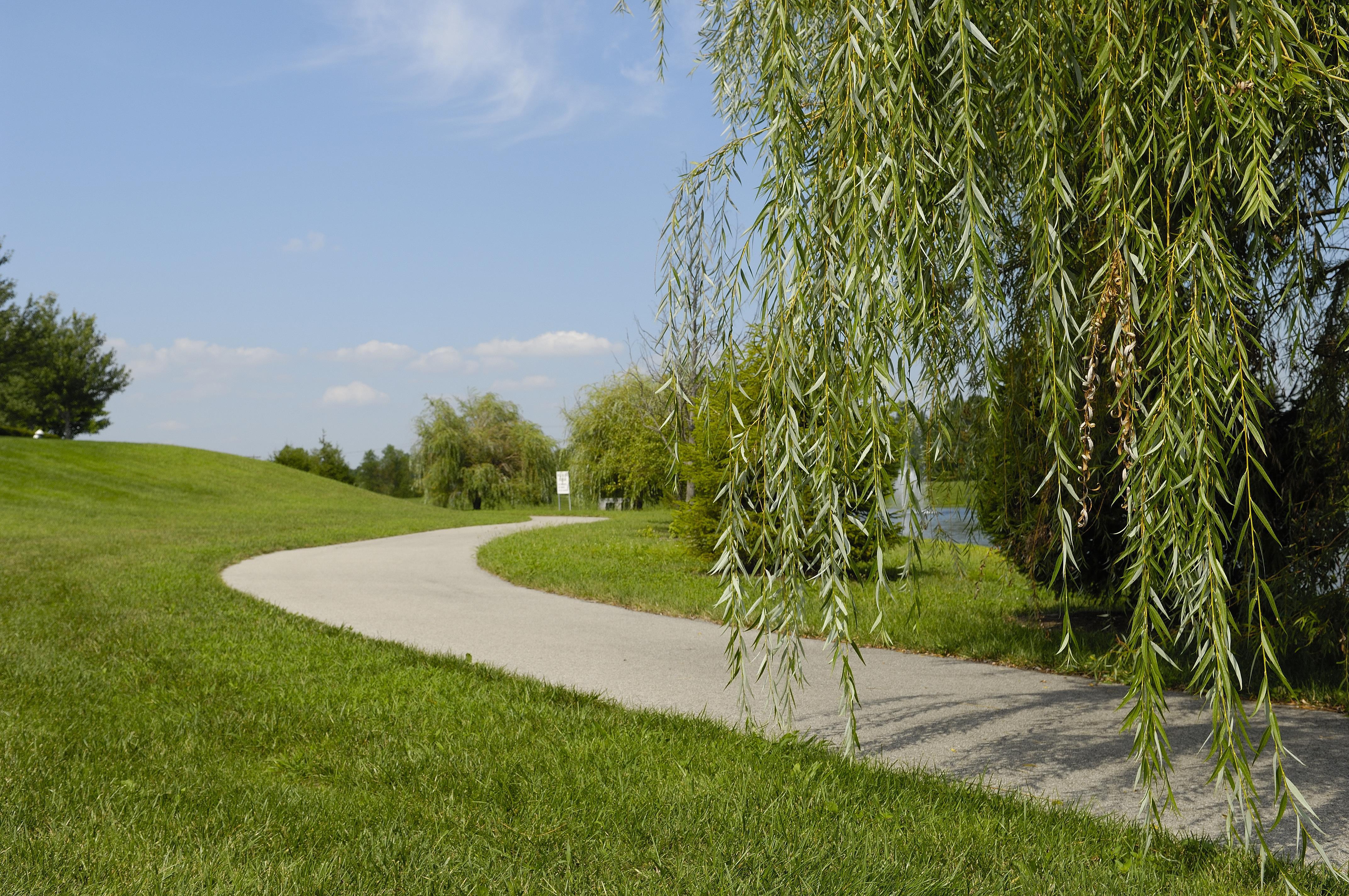 Recreational Facility | Embassy Suites by Hilton Lexington/UK Coldstream
