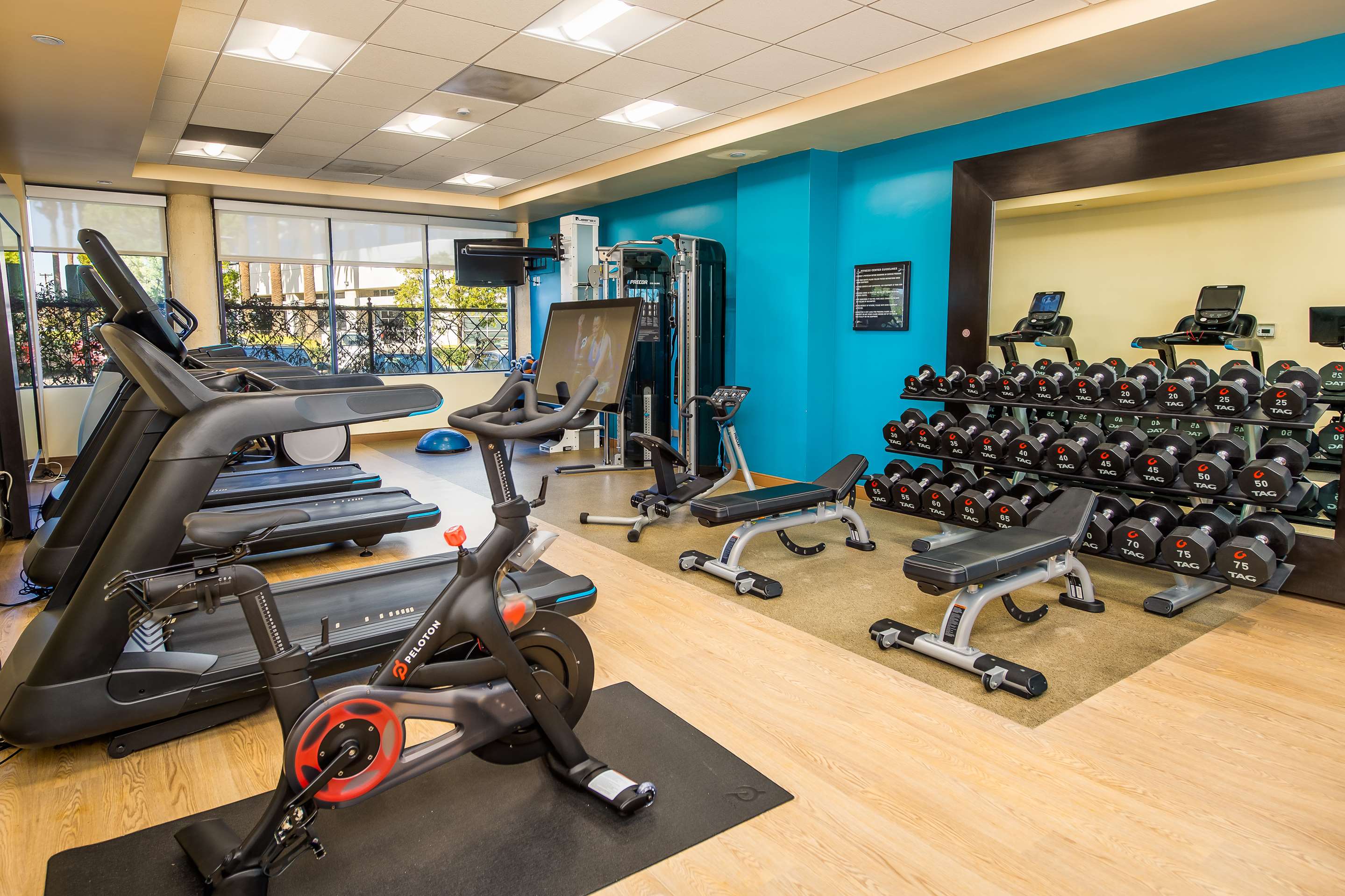 Health club fitness center gym