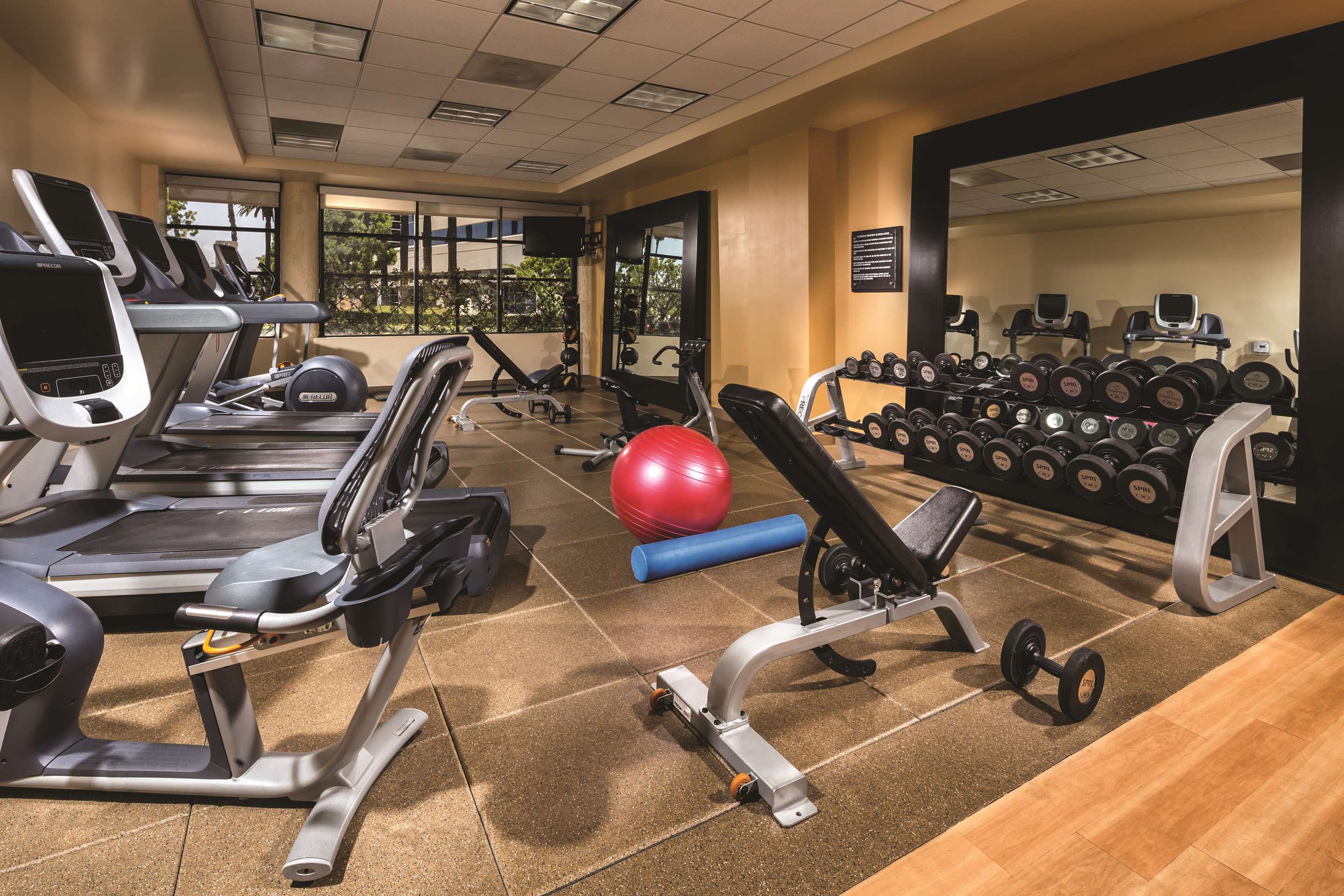 Health club fitness center gym