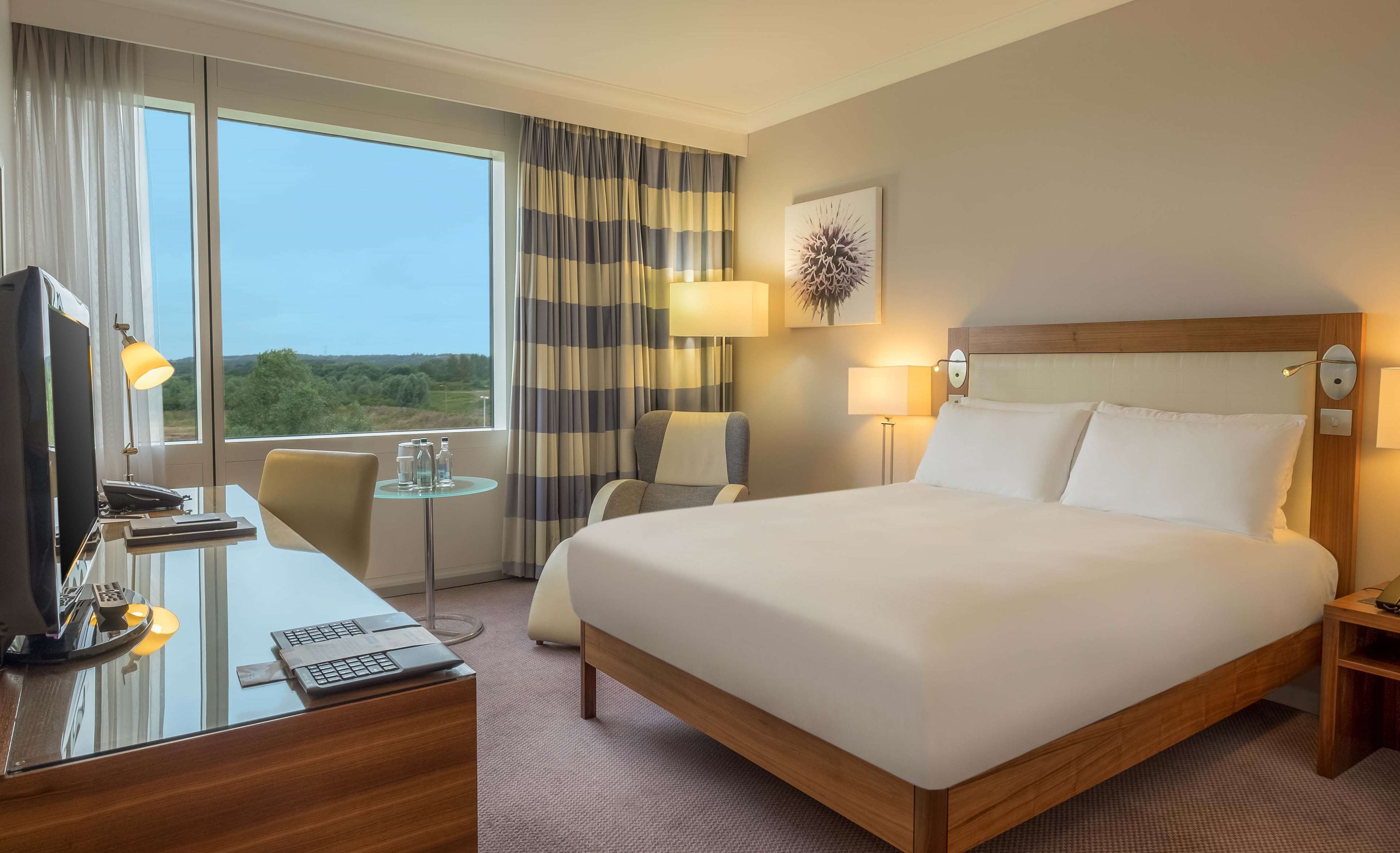 Hilton Reading Hotel Room Type - QUEEN JUNIOR SUITE