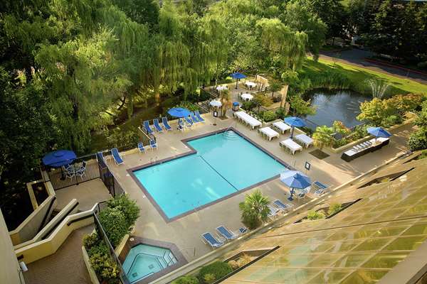 Pool - Hilton Hotel Bellevue - I-405, Exit 12