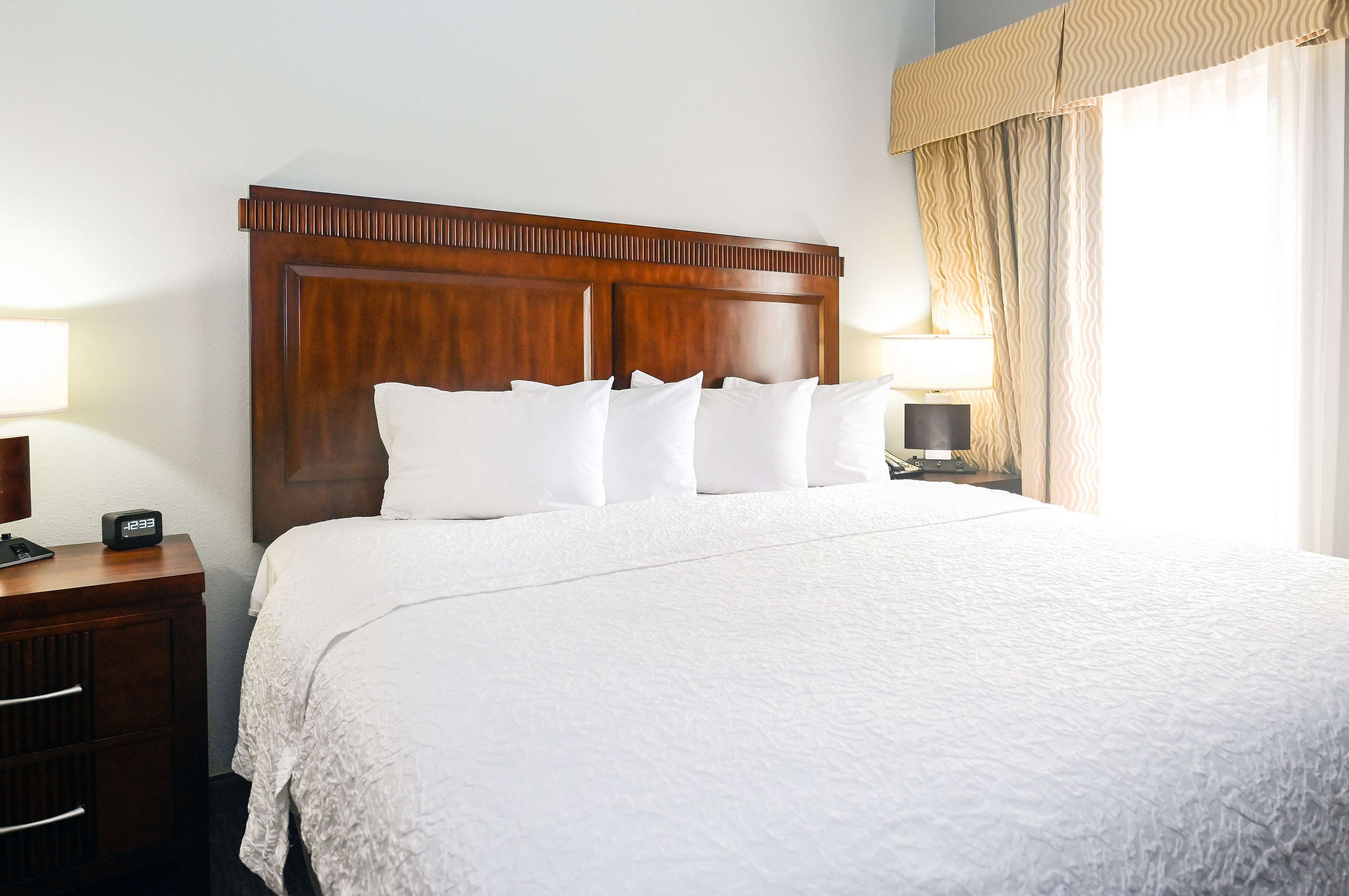 Hampton Inn by Hilton Lexington Park Room Type - 1KING W SOFABED NONSMOKING