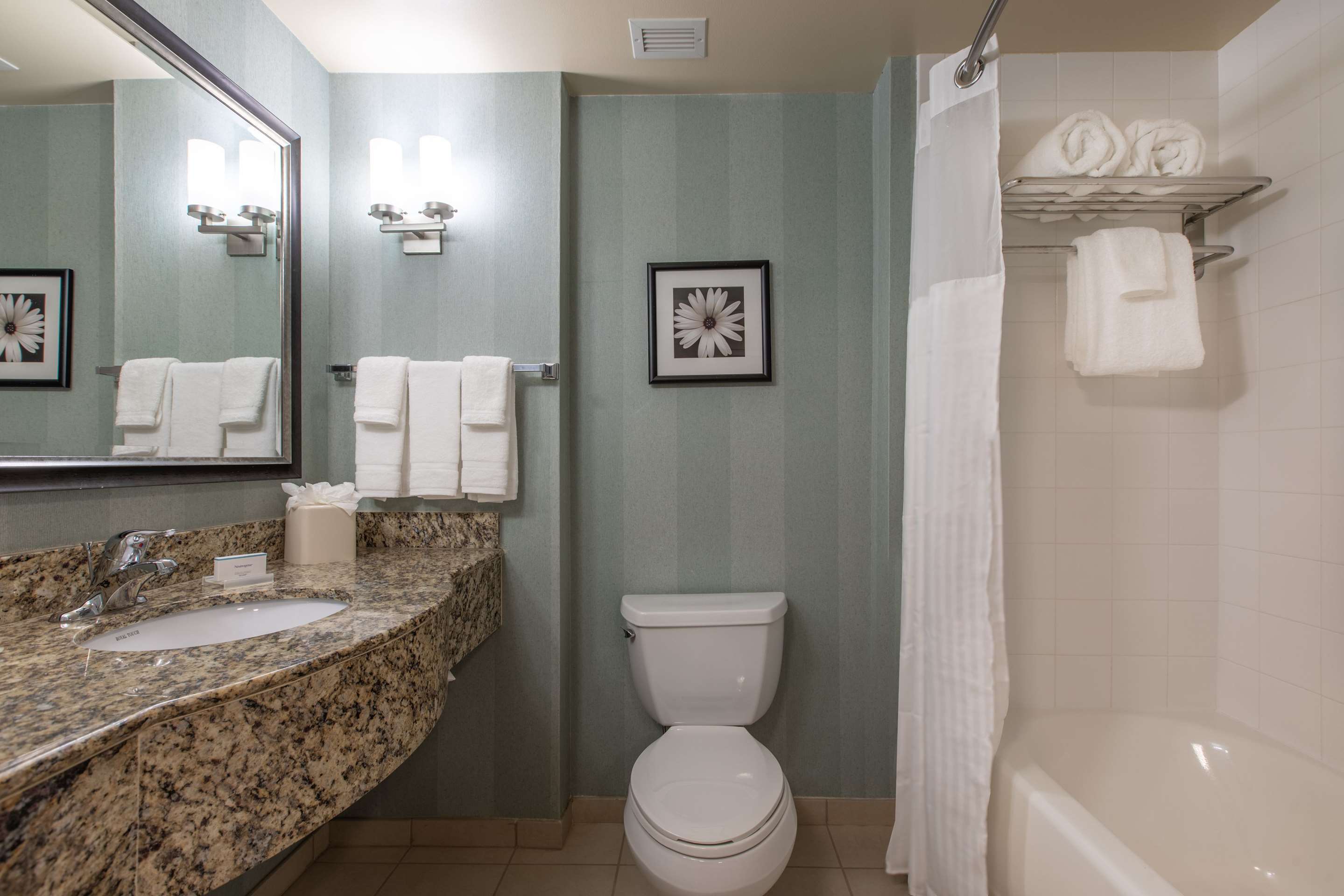 Guest room bath