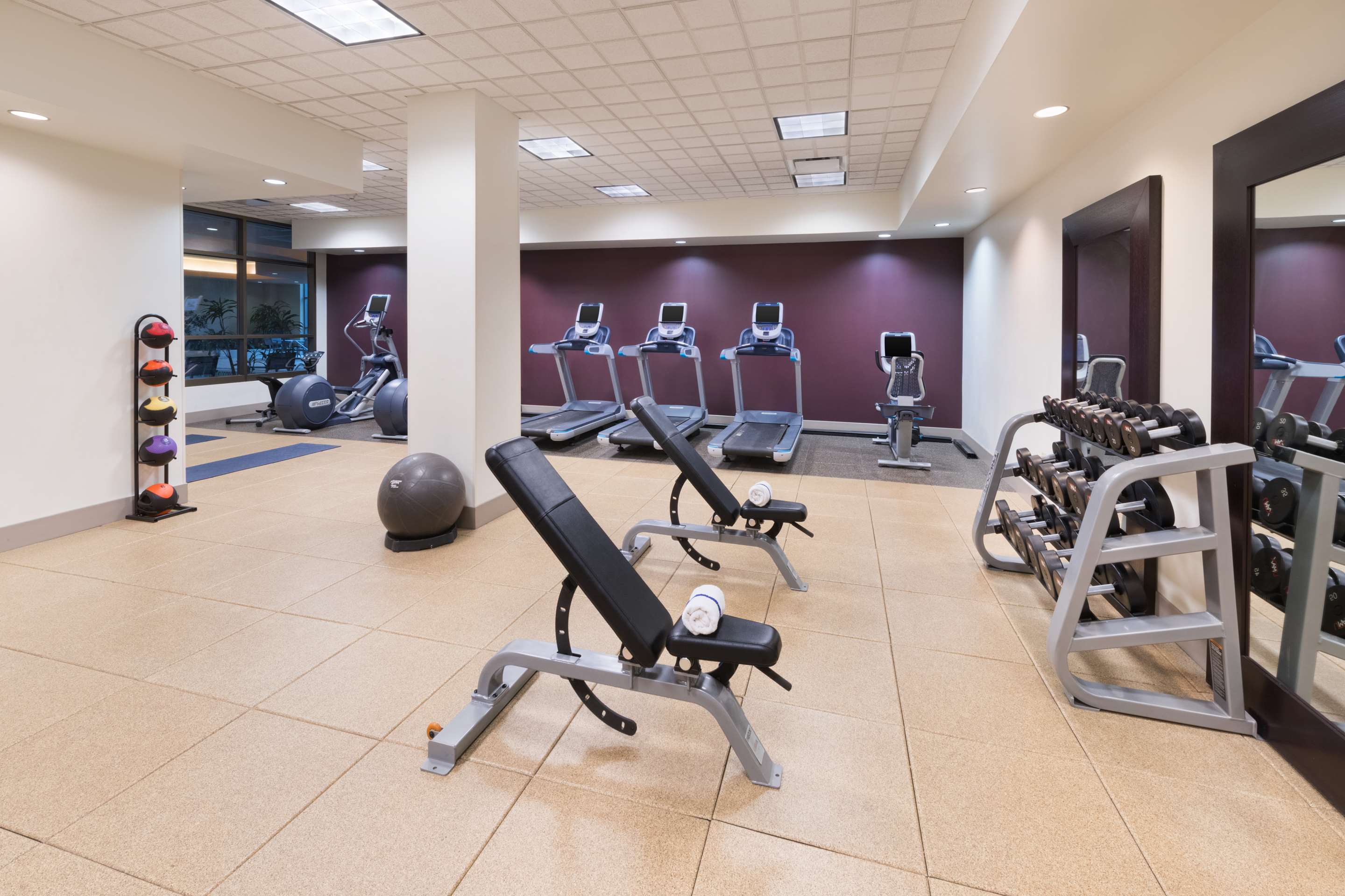 Health club fitness center gym | Embassy Suites by Hilton Nashville SE Murfreesboro