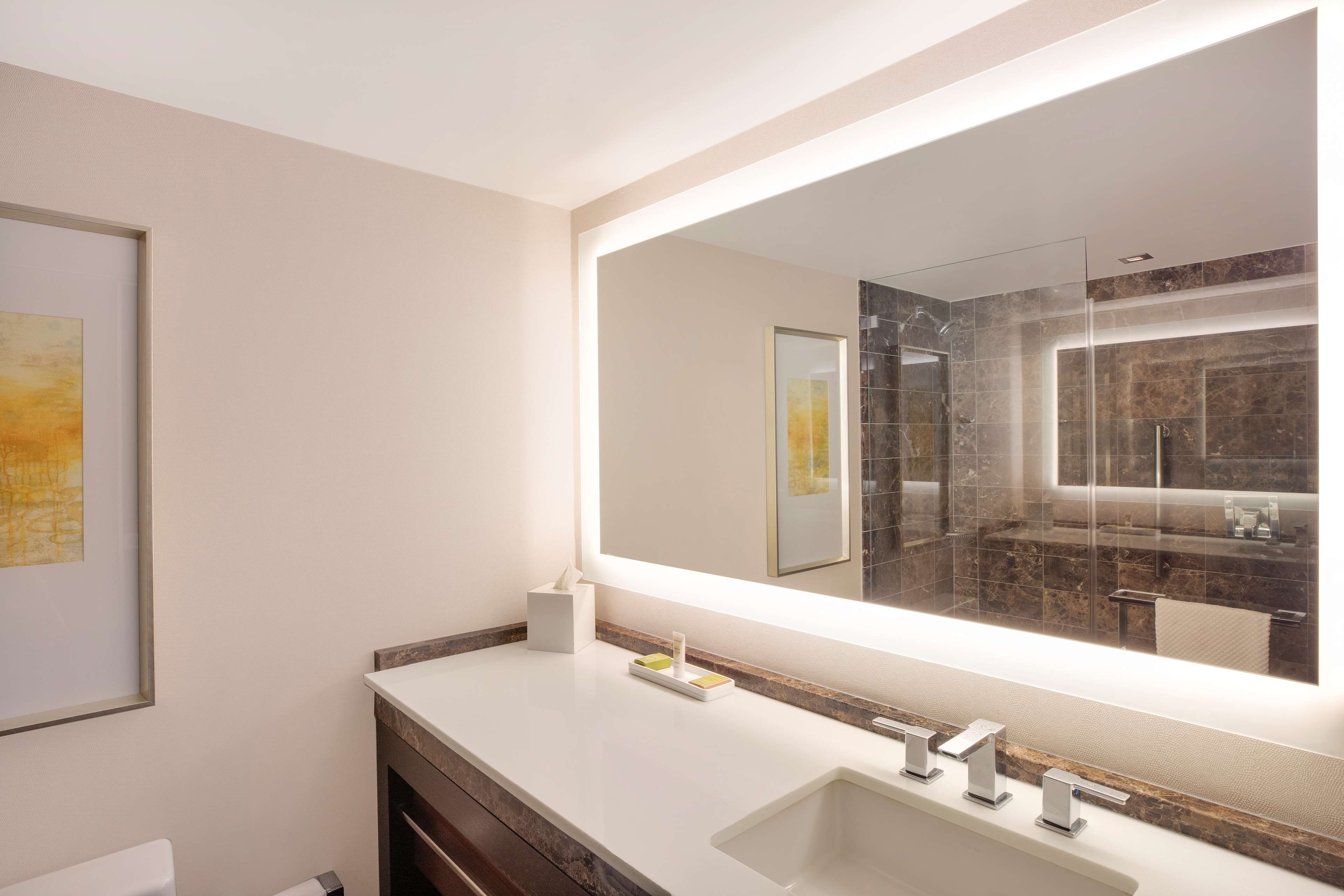 HILTON MCLEAN TYSONS CORNER Room Type - 2 DBL PREMIUM HEARING ACC