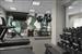 Health club  fitness center  gym