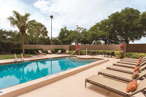 Pool - Embassy Suites Jamaican Court Orlando - I-4, Exit 74A
