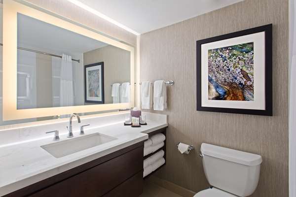  - Embassy Suites International Drive Orlando