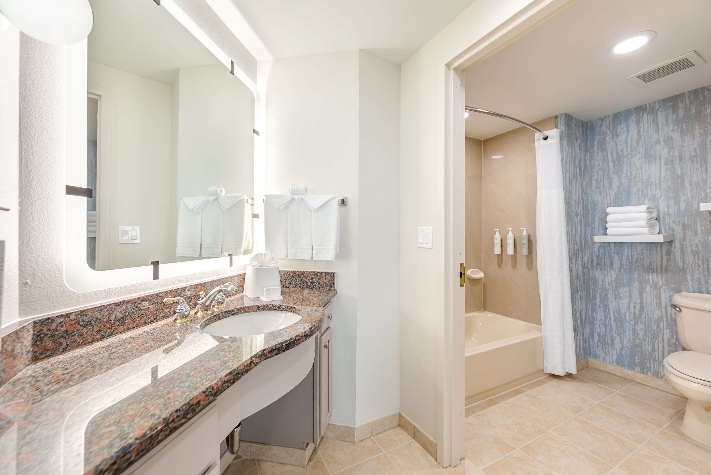 Guest room bath