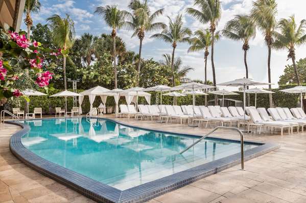 Pool - Hilton Bentley Hotel Miami Beach
