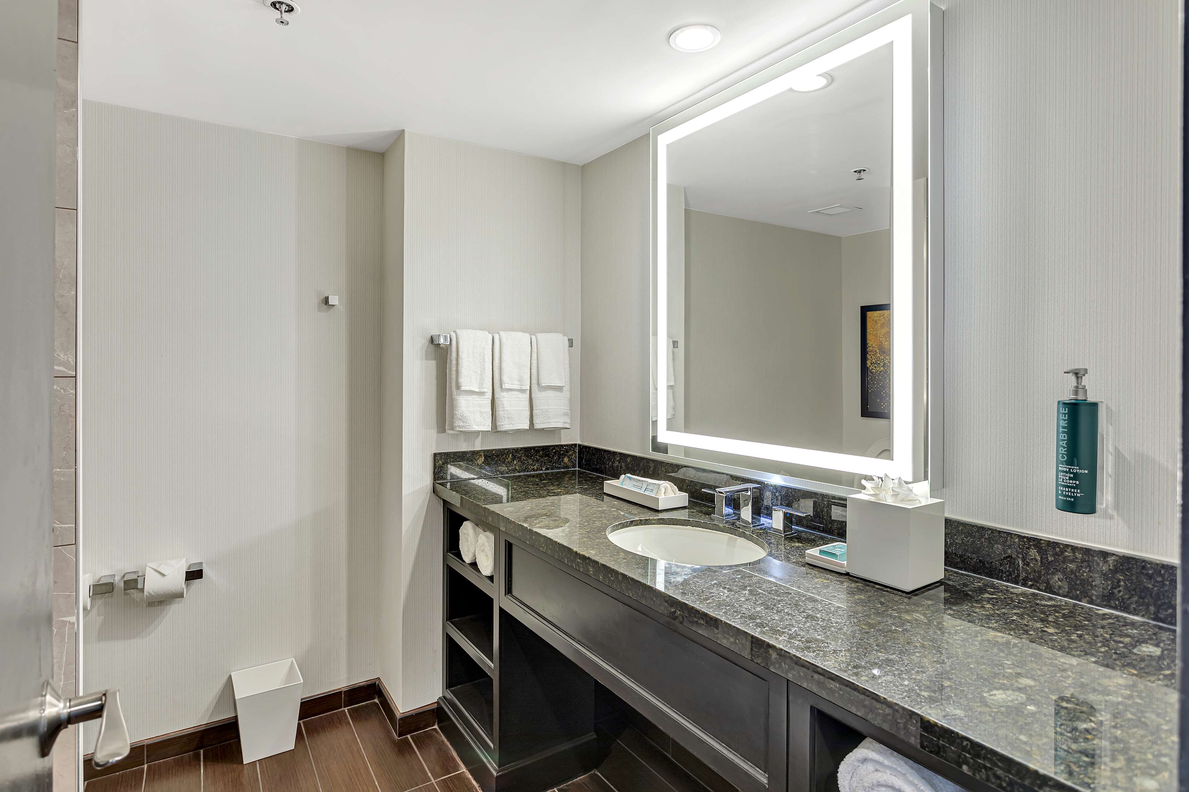 Hilton Miami Downtown Room Type - 1 KING 1BDRM SUITE BAYVIEW