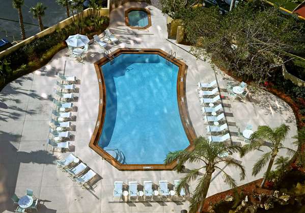 Pool - DoubleTree by Hilton Hotel Airport Miami