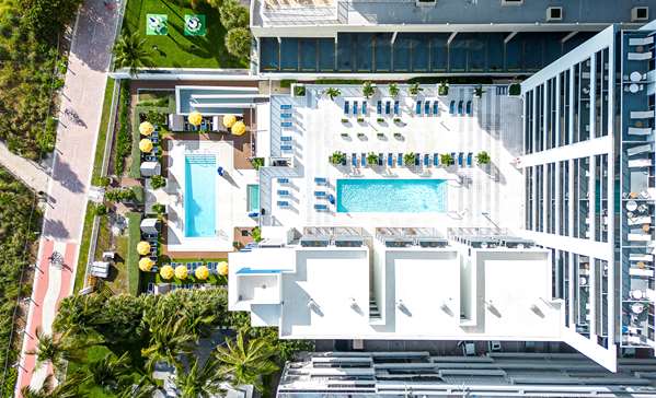 Pool - Hilton Cabana Hotel Miami Beach