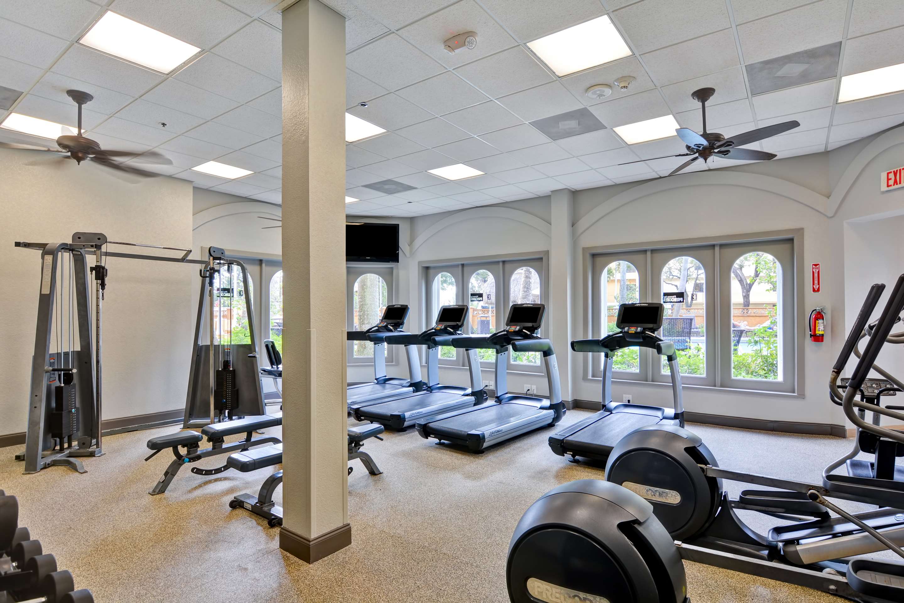 Health club fitness center gym