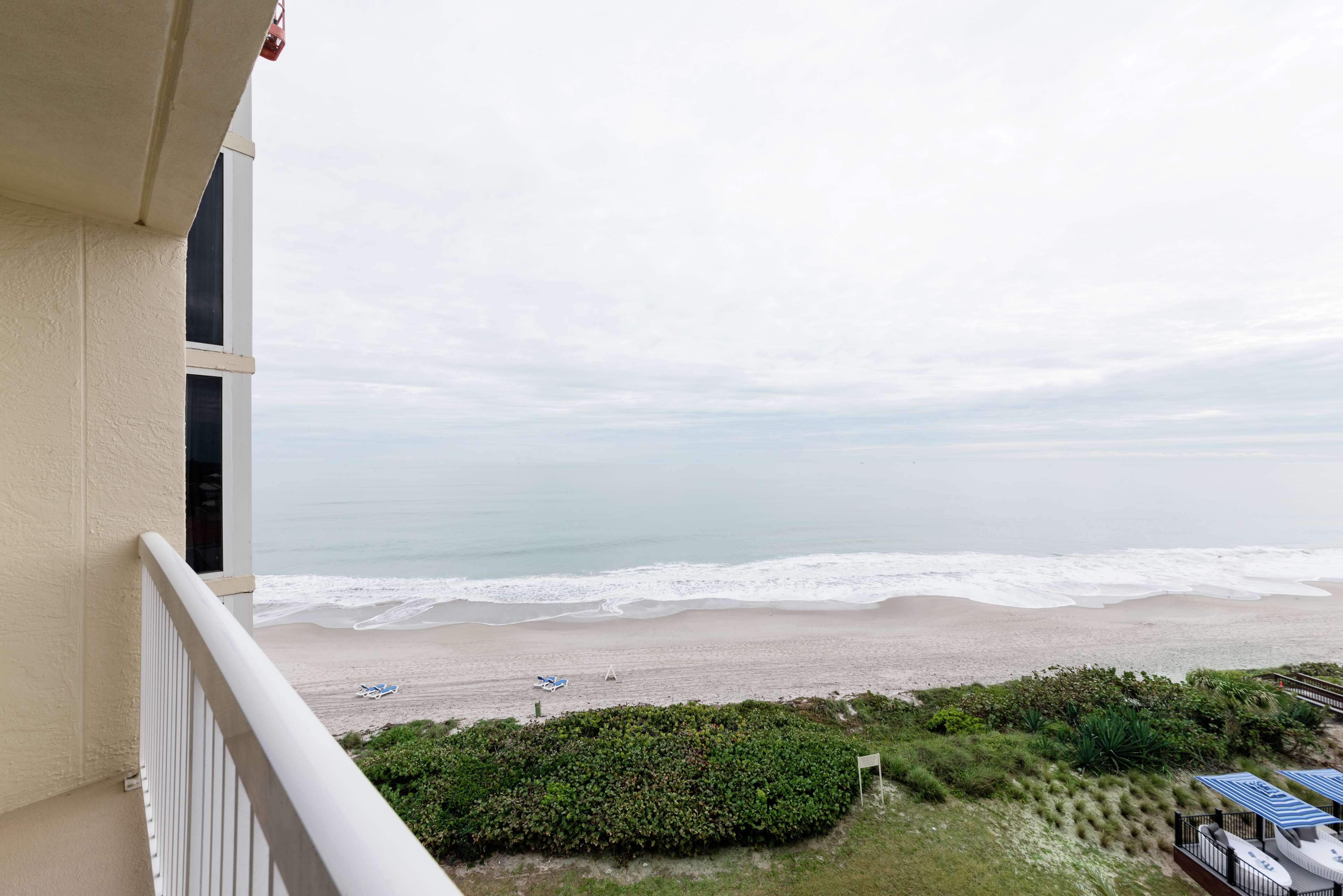 Hilton Melbourne Beach Oceanfront Room Type - 1 KG OCEANFRONT - SOFA BED