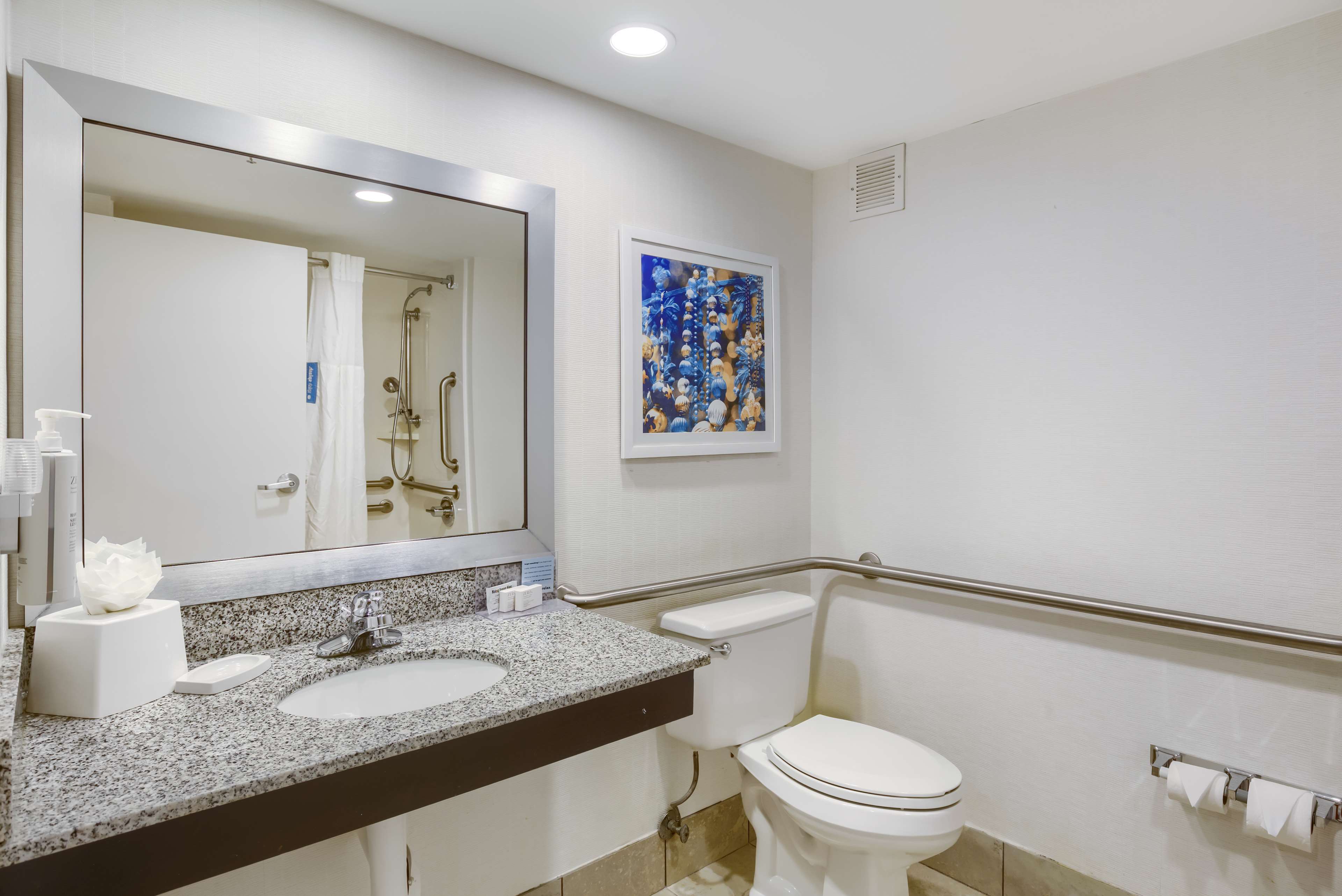 Hampton Inn by Hilton Mobile-I-10/Bellingrath Gardens Room Type - 1 KNG ACCESSIBLE TUB NS