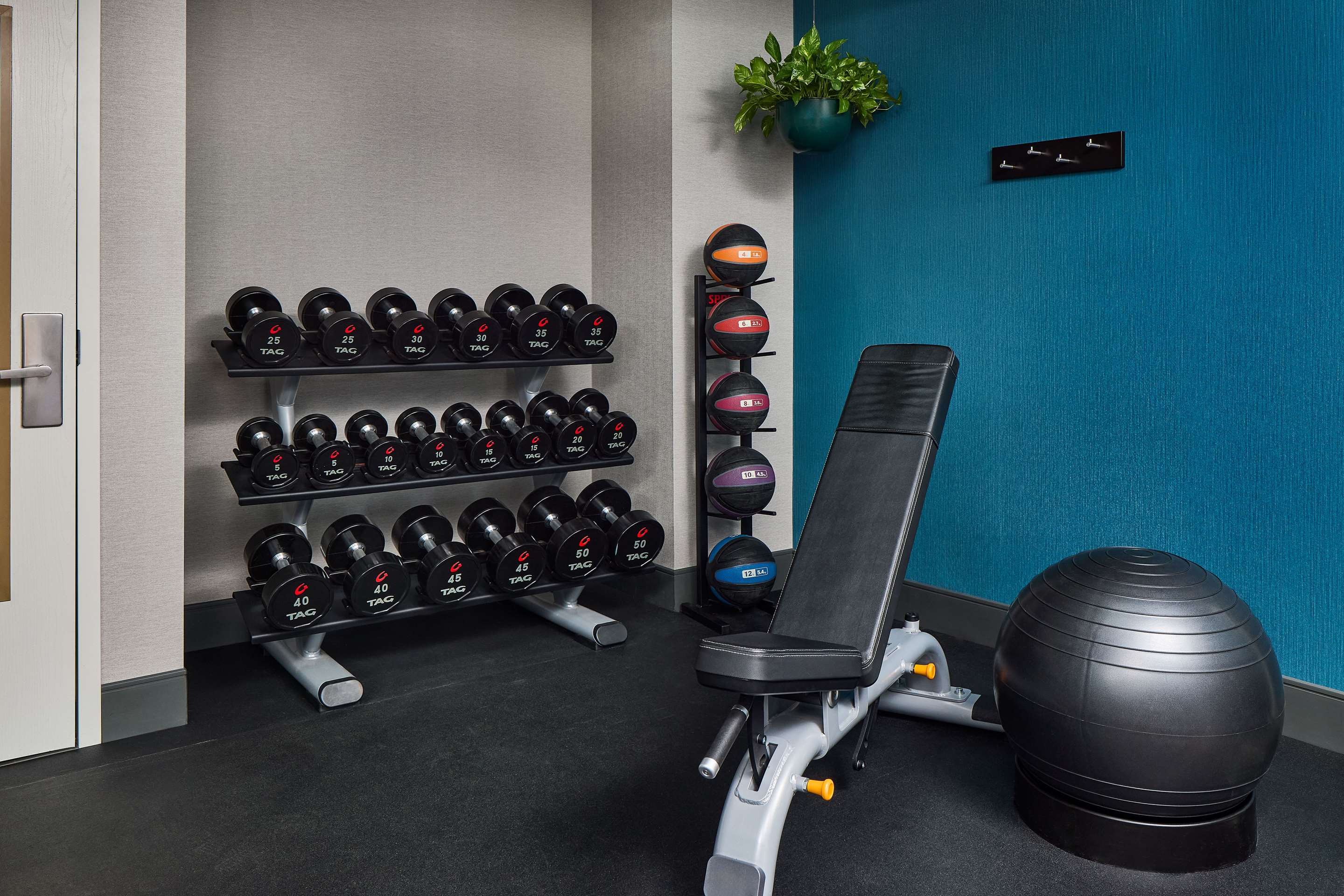 Health club fitness center gym