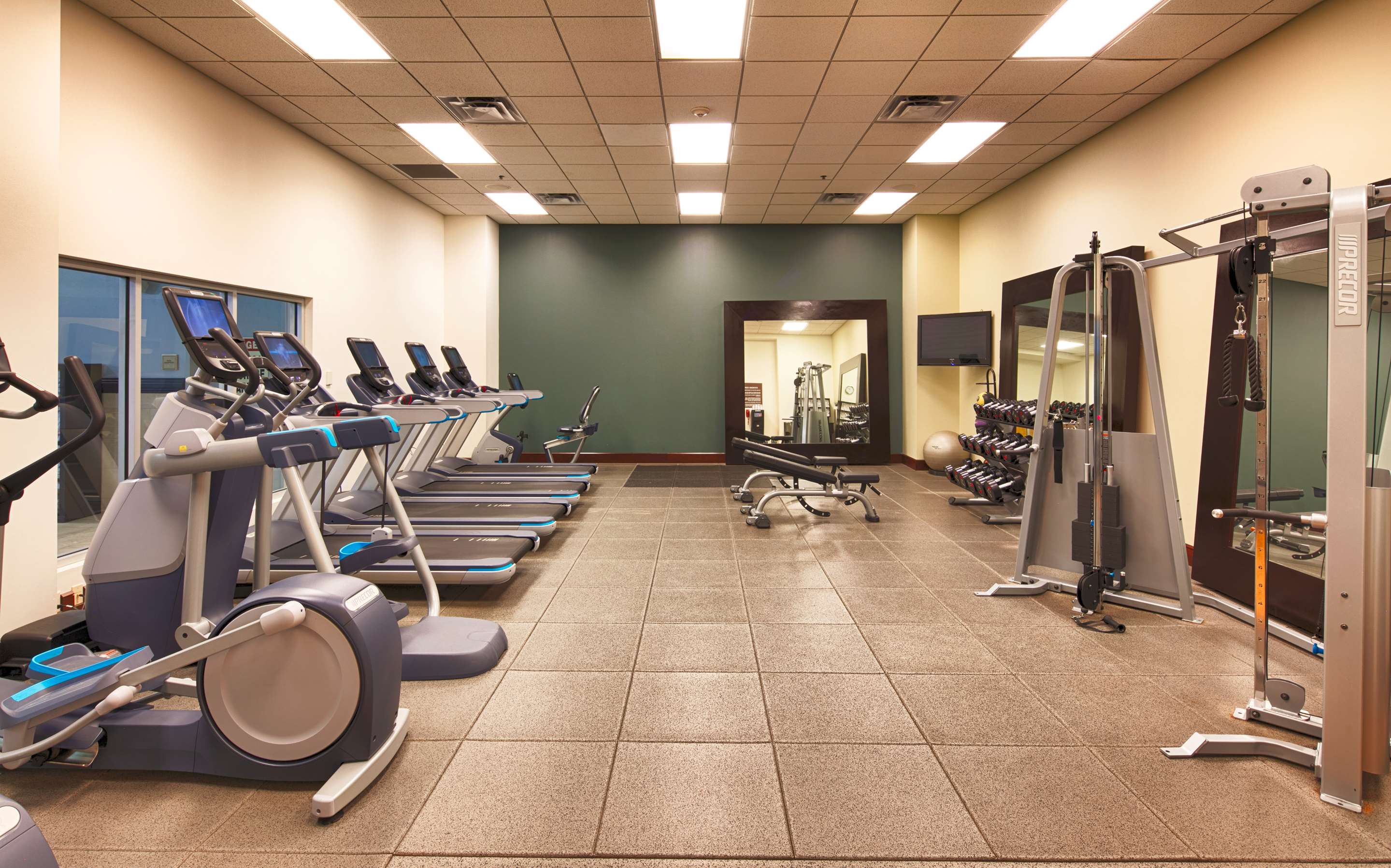 Health club fitness center gym