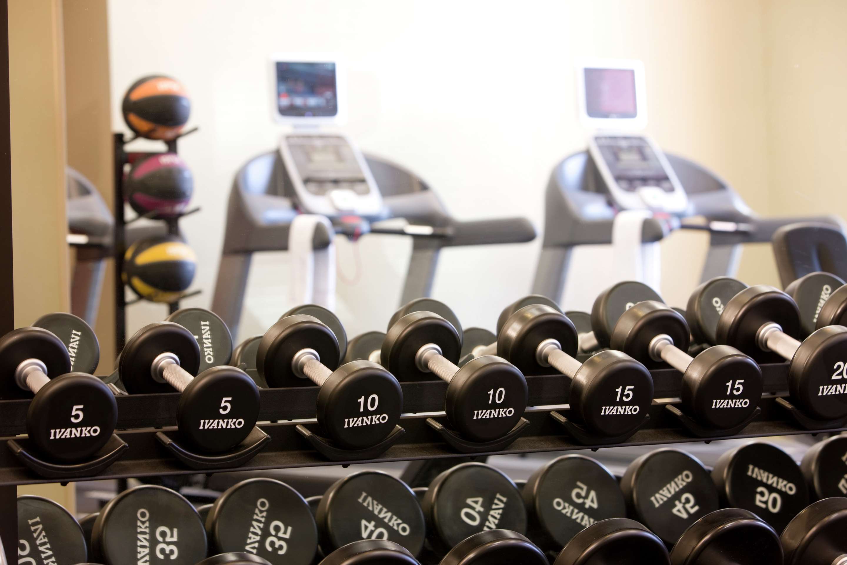 Health club fitness center gym