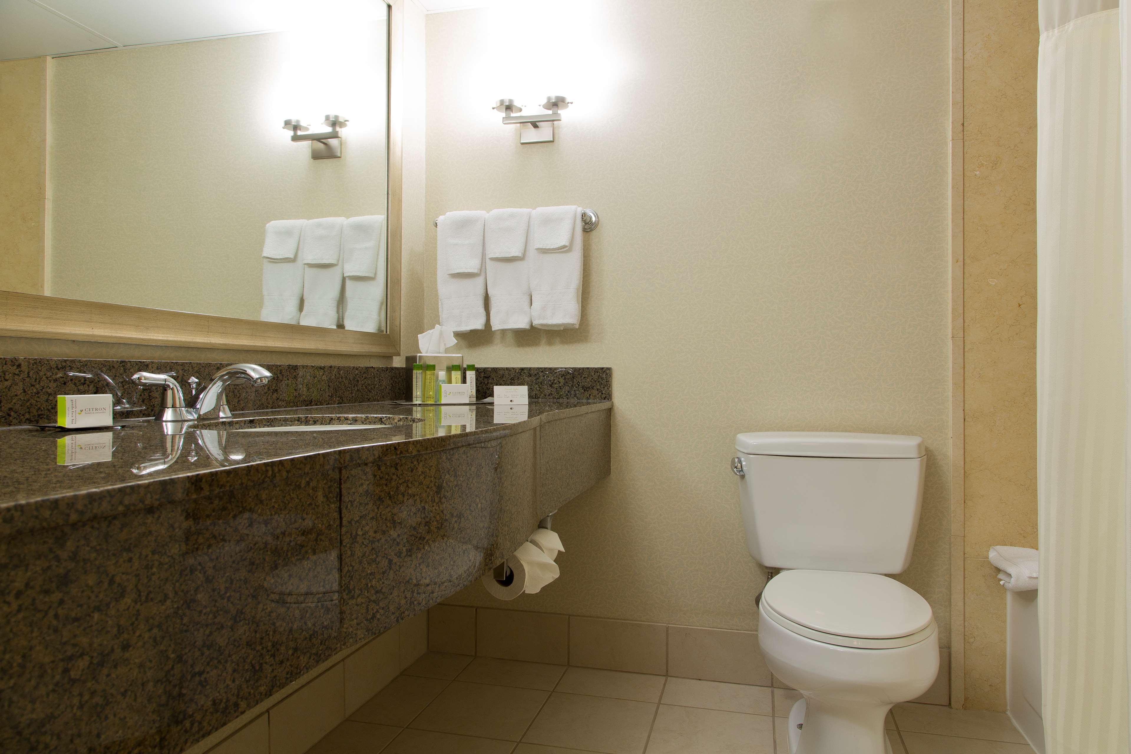 DoubleTree by Hilton Hotel St. Paul Downtown Room Type - 2DBL MOB ACC W  R I SHOWER