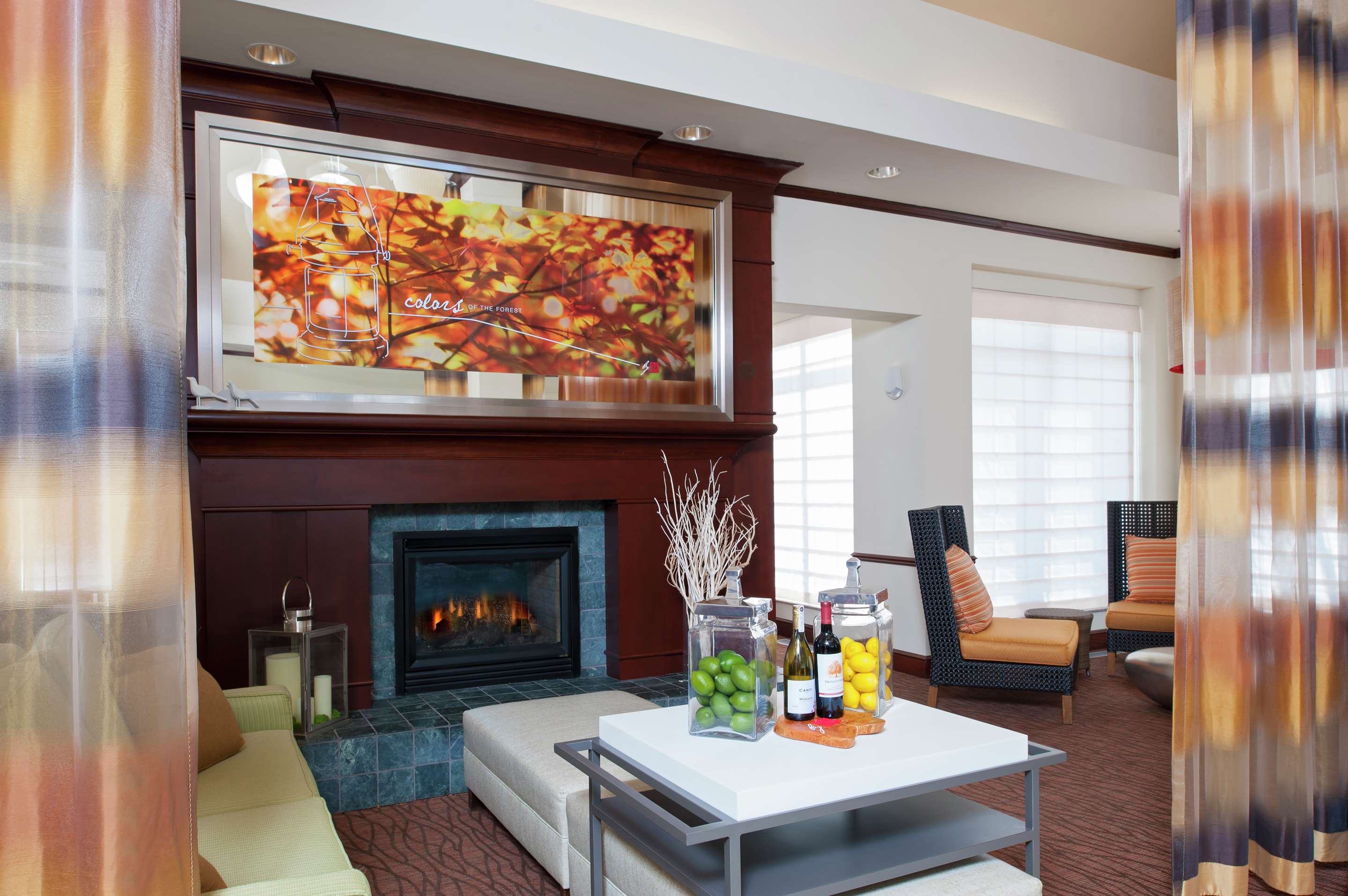 Lobby | Hilton Garden Inn St. Paul/Oakdale