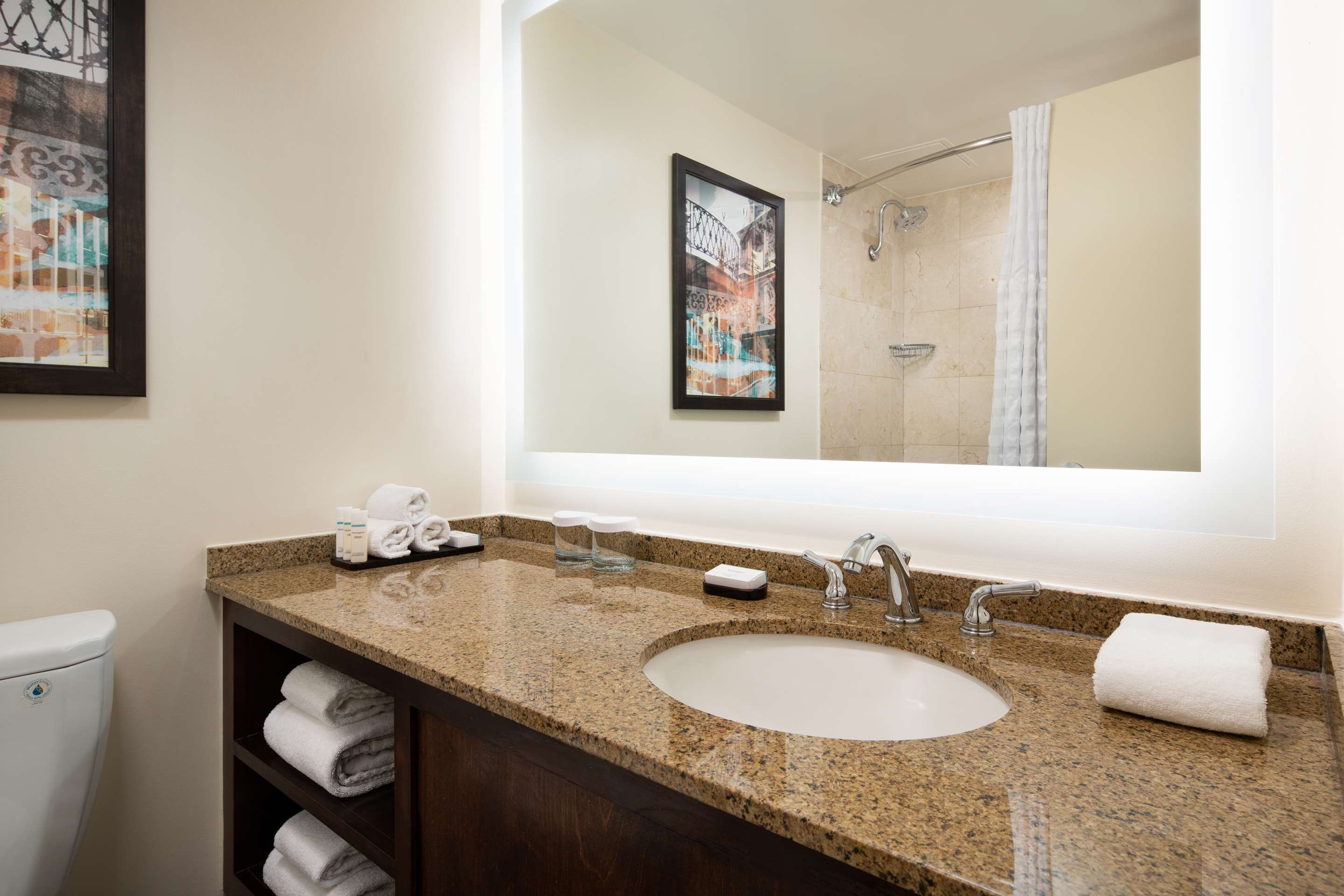 Guest room bath