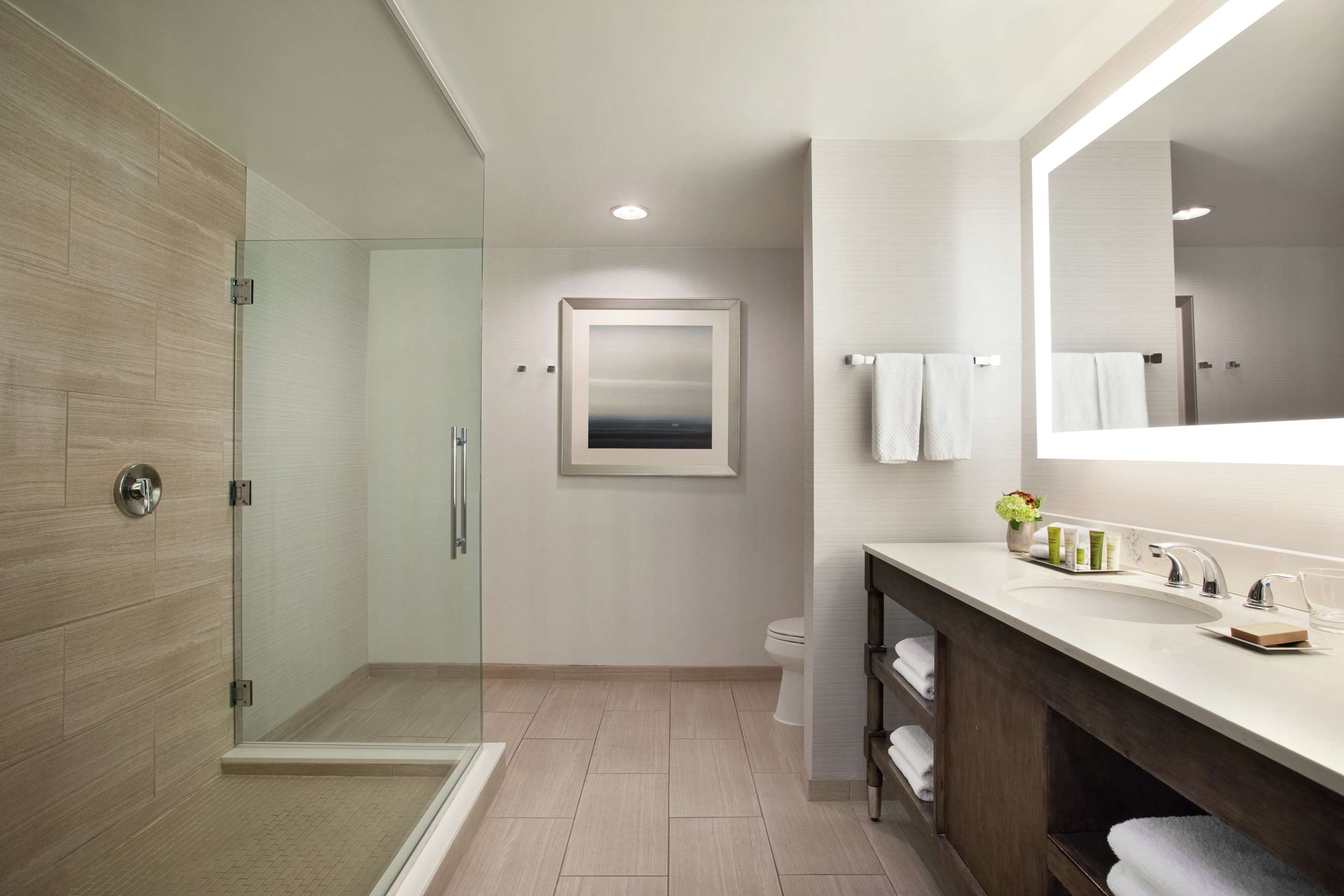 Guest room bath