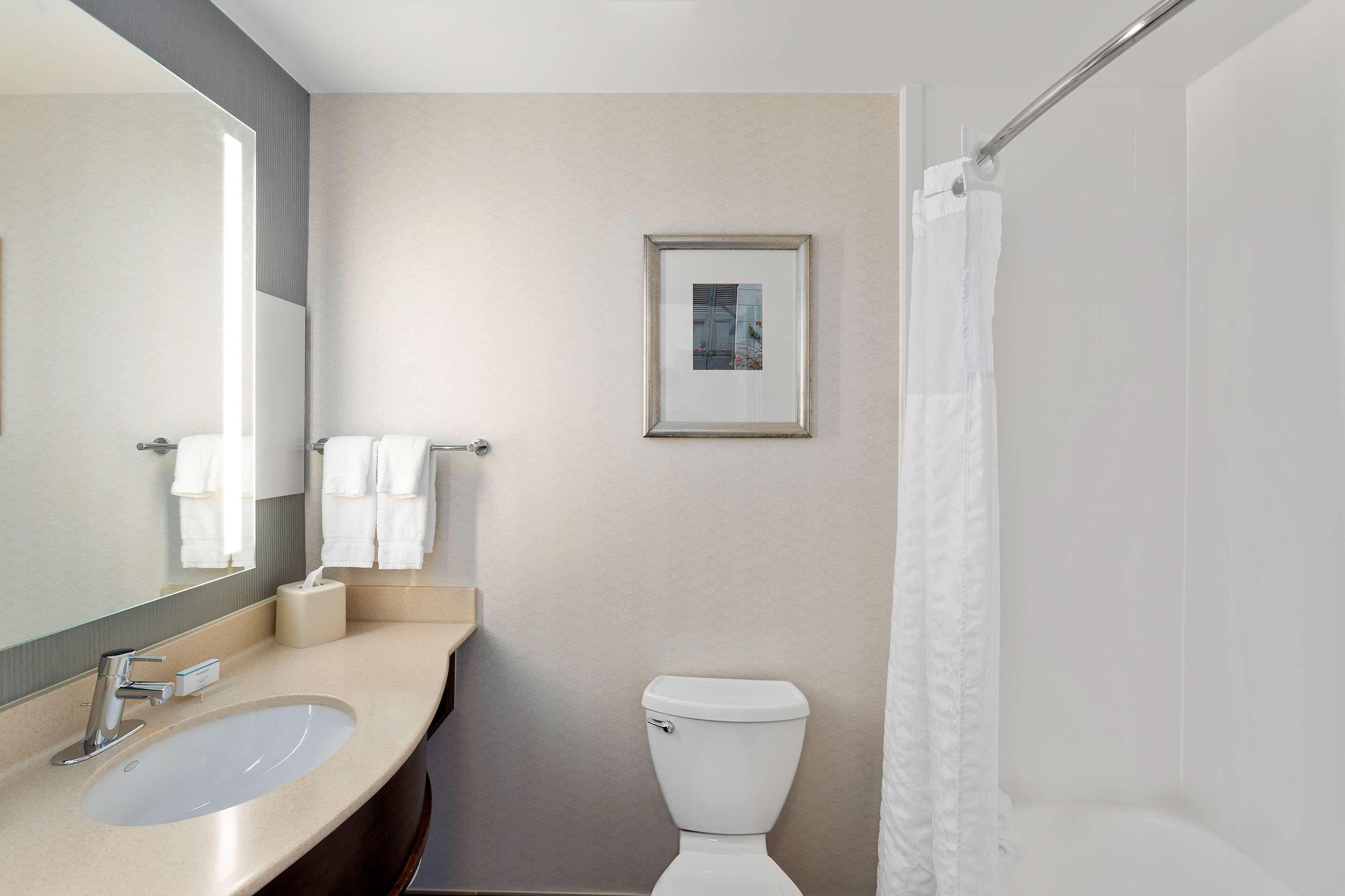 Guest room bath